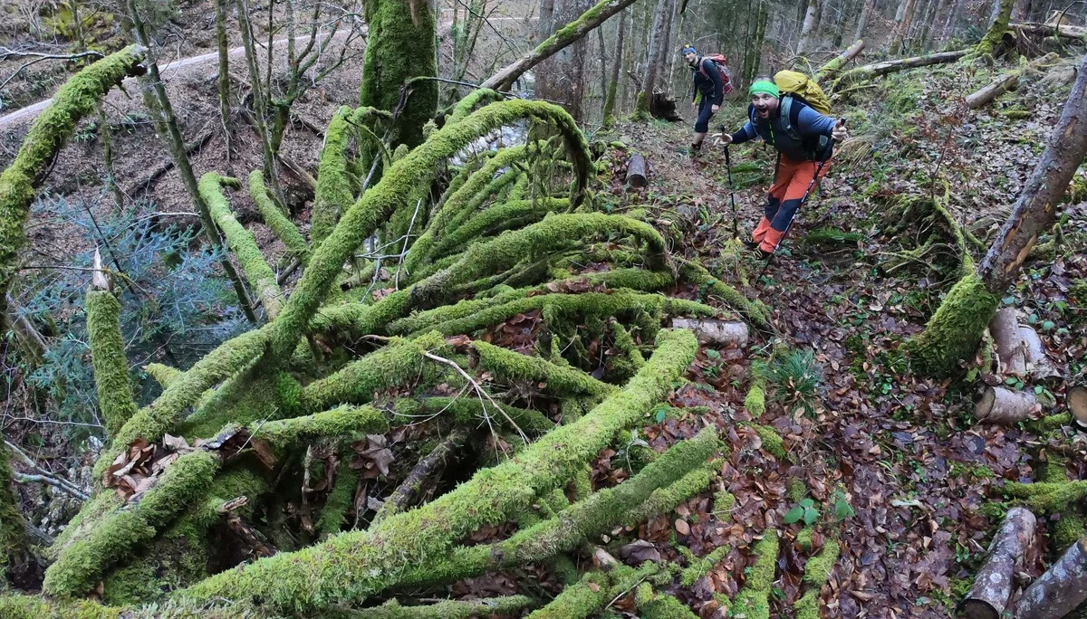 © (DAV Gangkofen) Alien?!