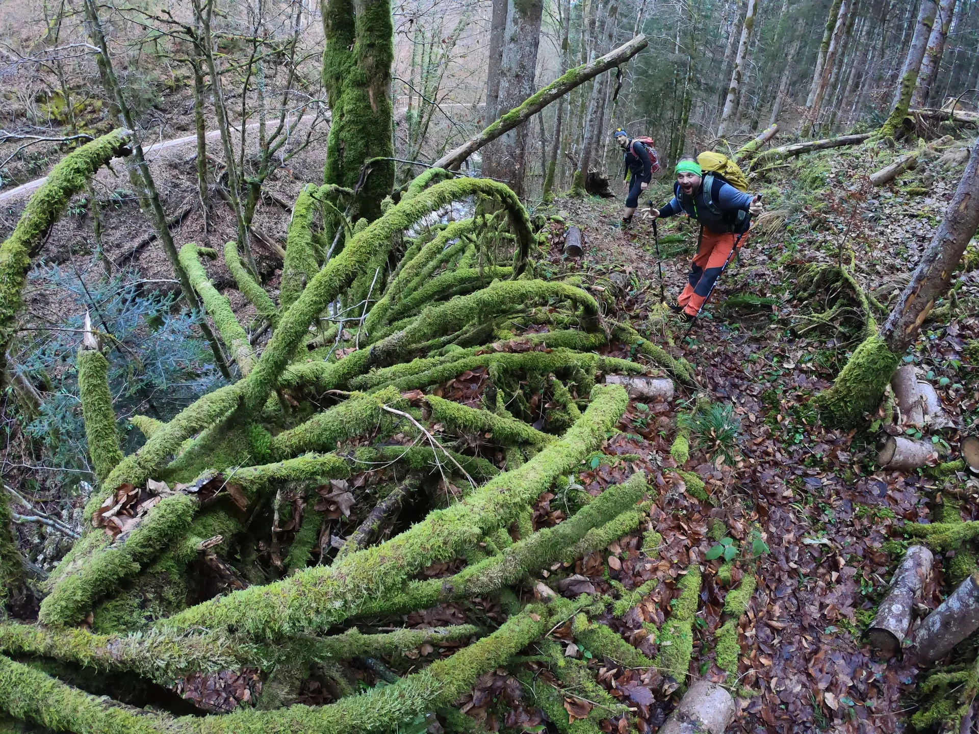 © (DAV Gangkofen) Alien?!