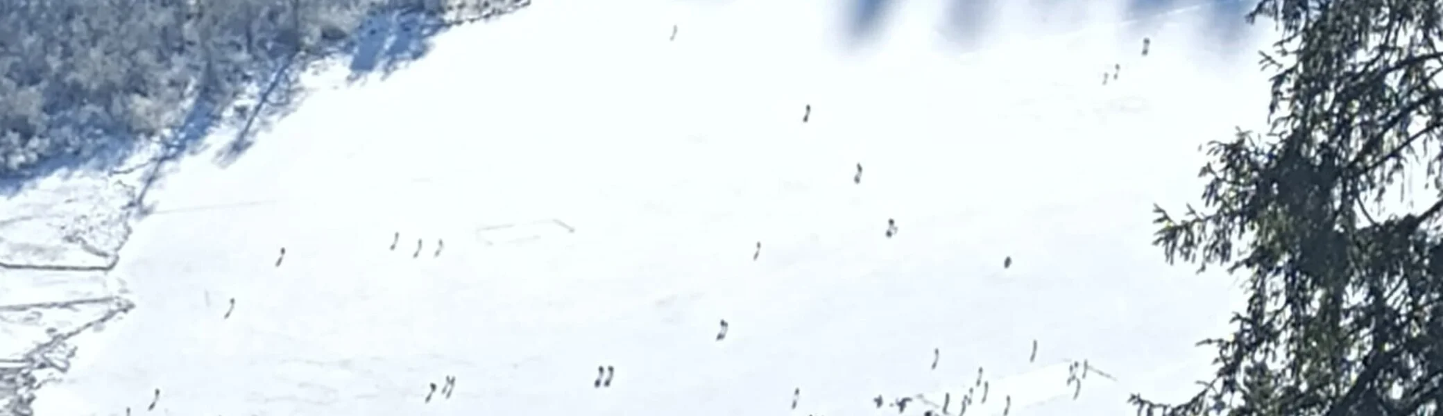 © (DAV Gangkofen) schaut gut aus