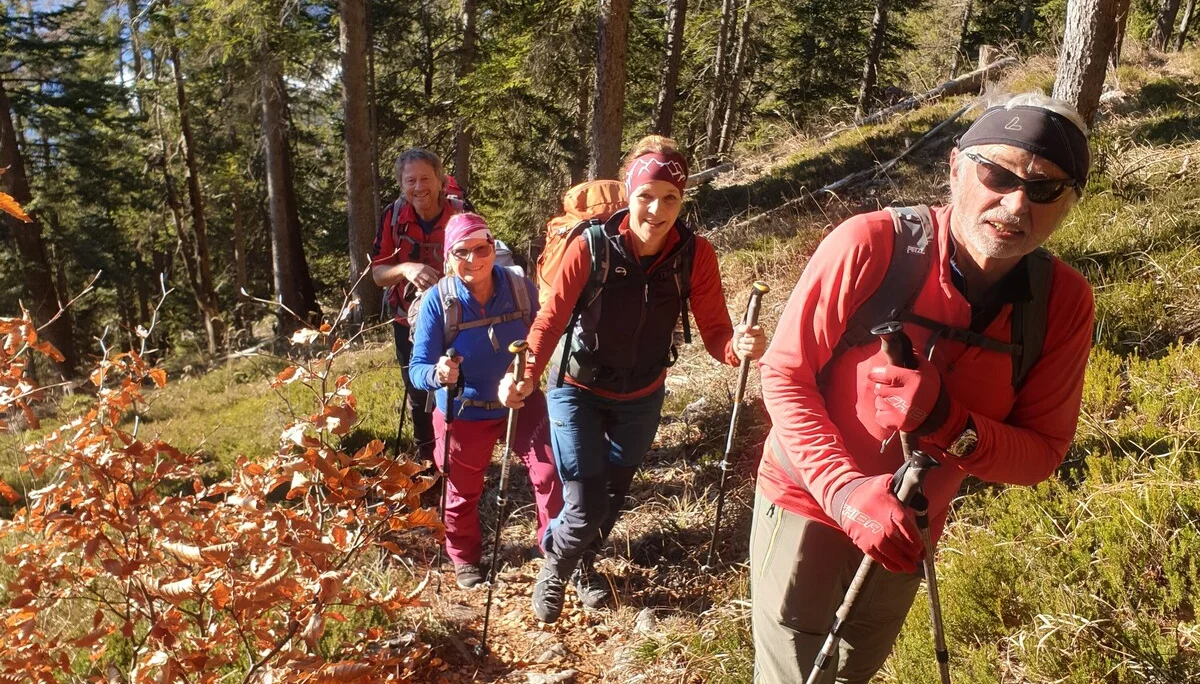 © (DAV Gangkofen) schöner Steig