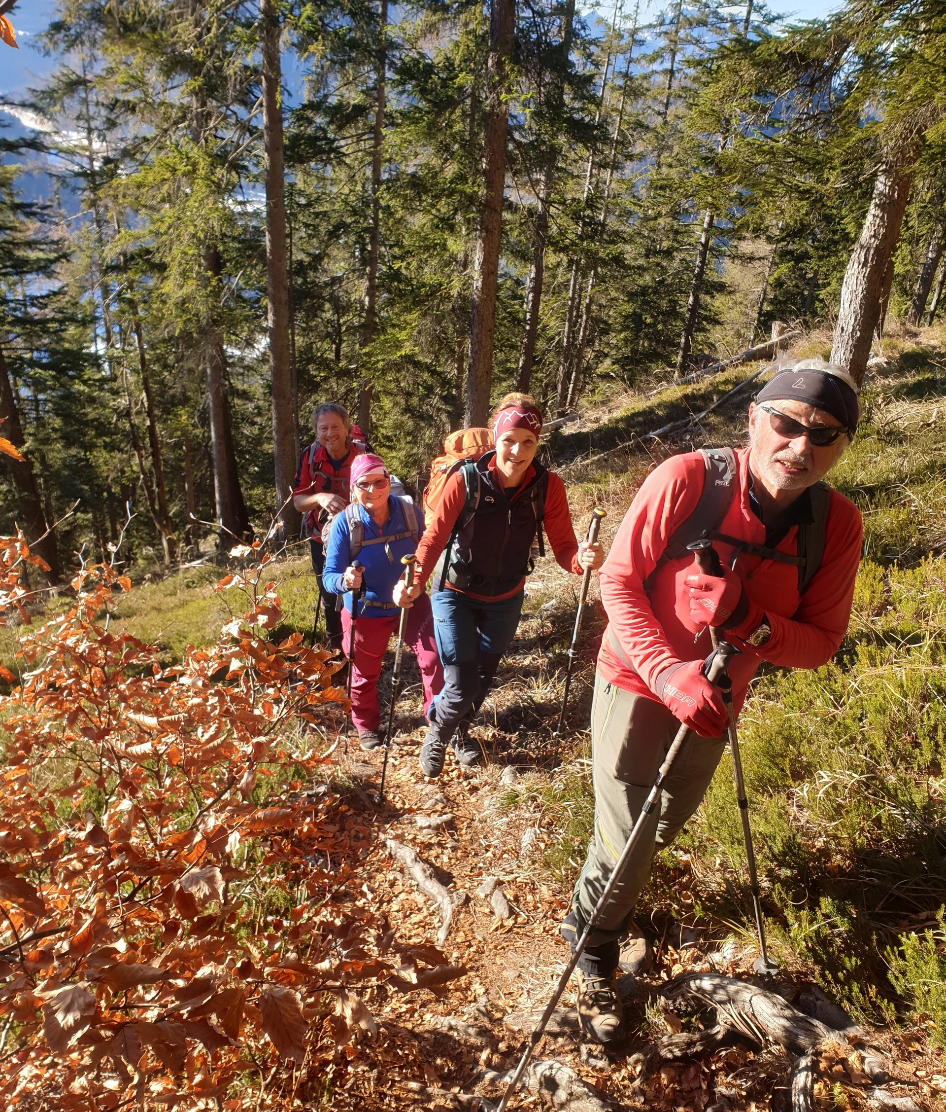 © (DAV Gangkofen) schöner Steig