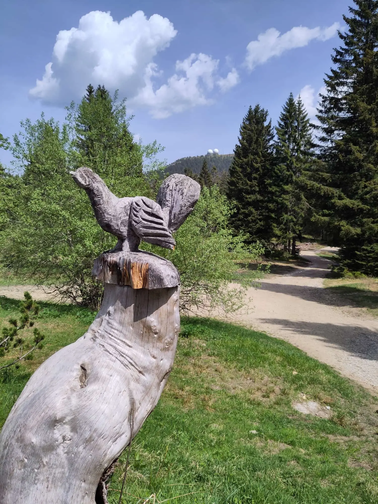 © (DAV Gangkofen)