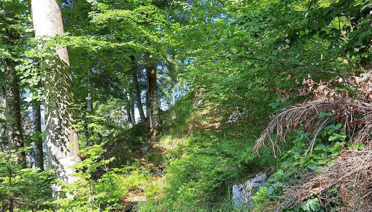 © (DAV Gangkofen) Wanderung auf die Hörndlwand