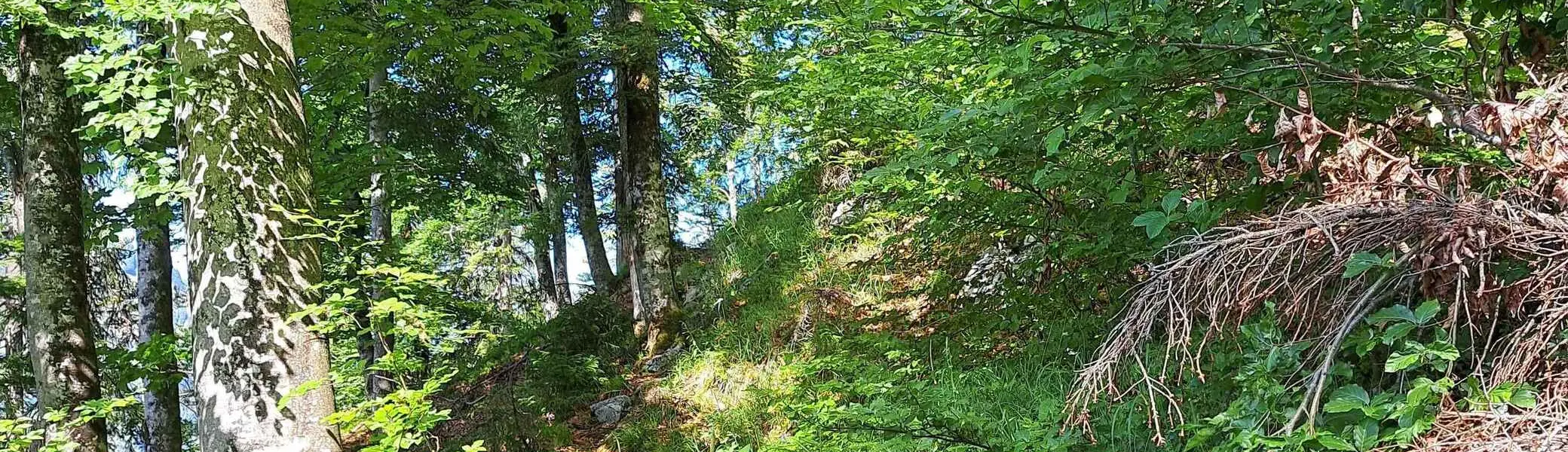 © (DAV Gangkofen) Wanderung auf die Hörndlwand