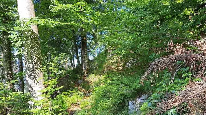 © (DAV Gangkofen) Wanderung auf die Hörndlwand