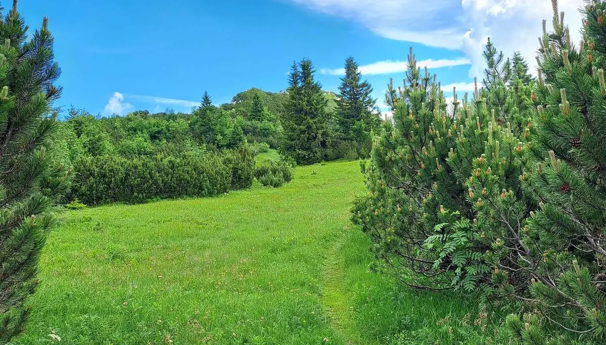© (DAV Gangkofen) Wanderung auf die Hörndlwand