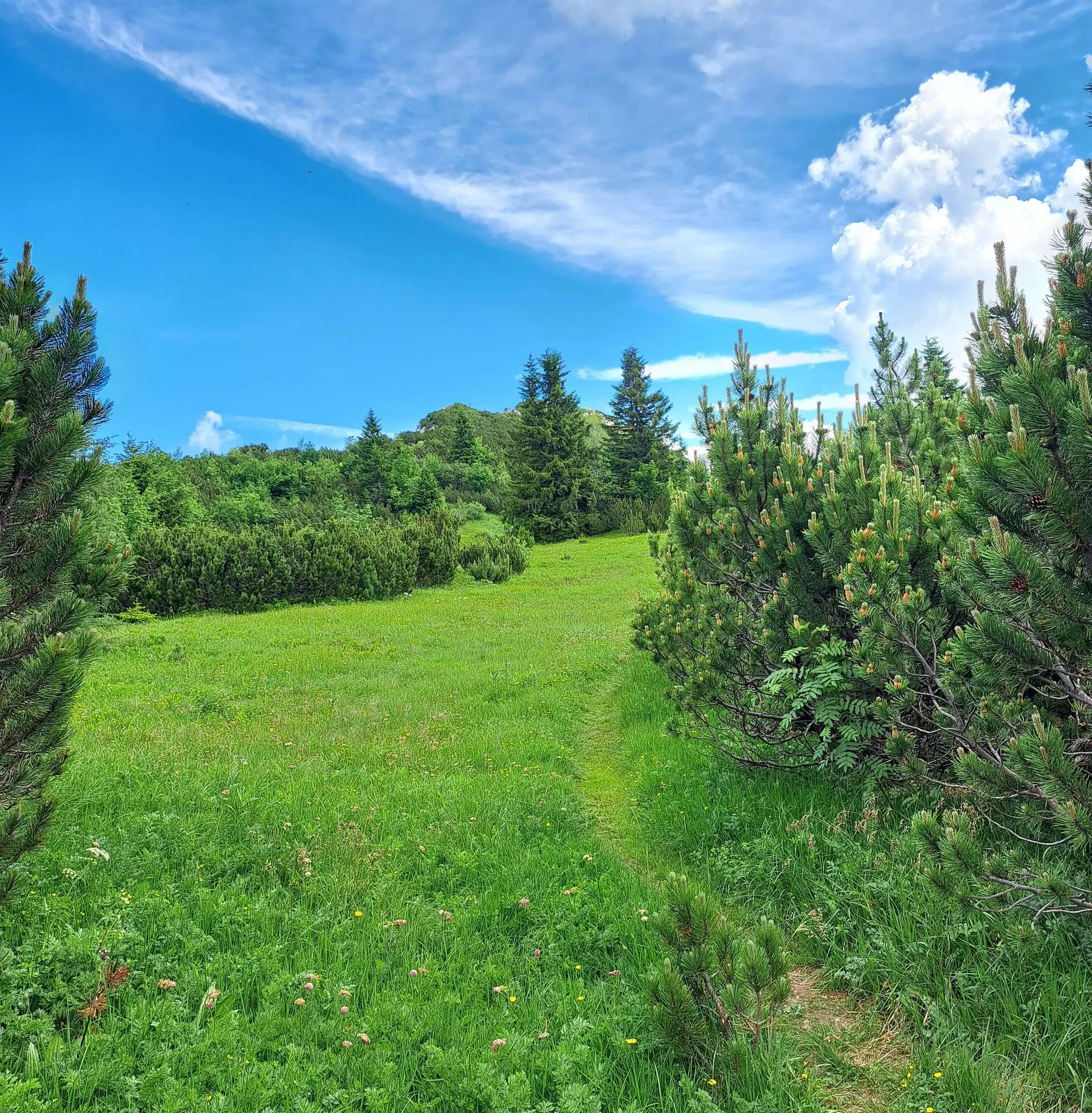 © (DAV Gangkofen) Wanderung auf die Hörndlwand