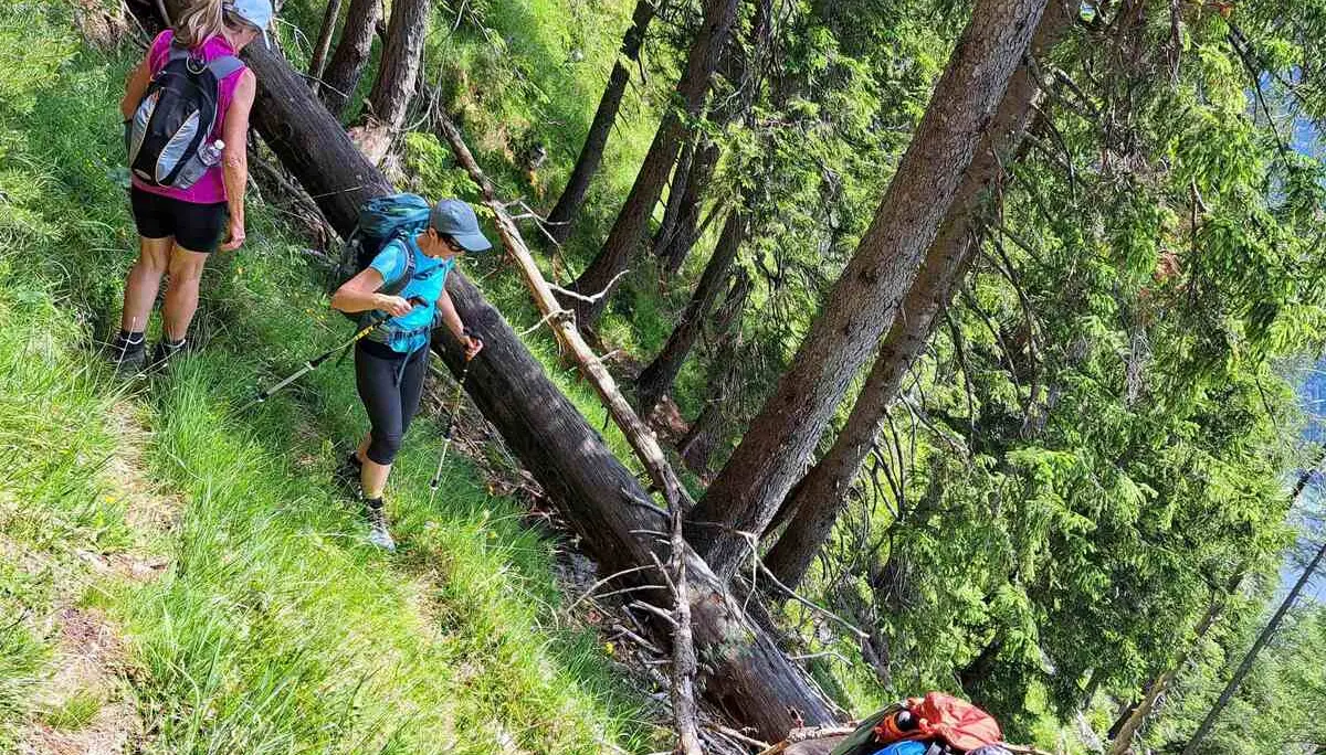 © (DAV Gangkofen) Wanderung auf die Hörndlwand