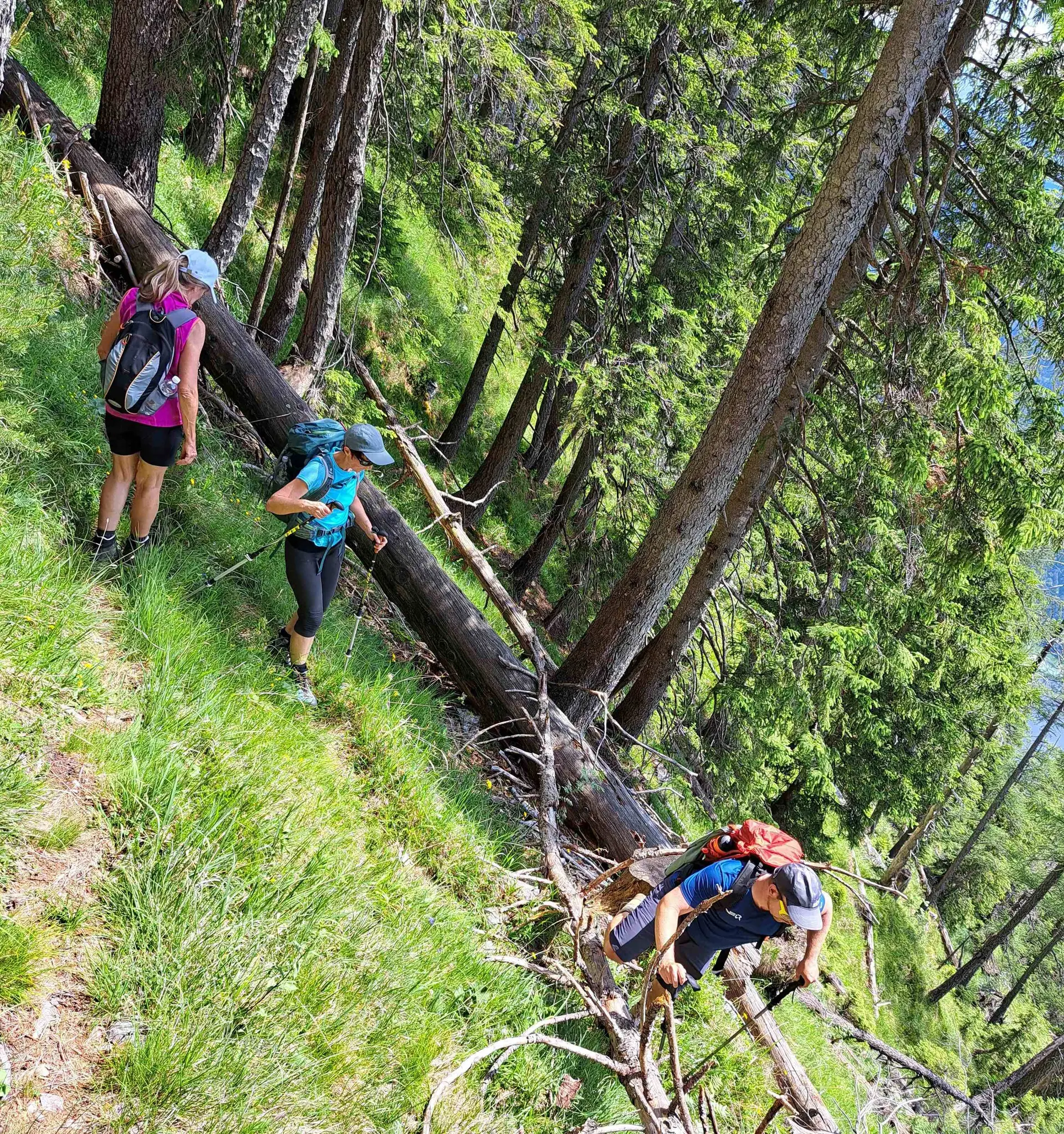 © (DAV Gangkofen) Wanderung auf die Hörndlwand