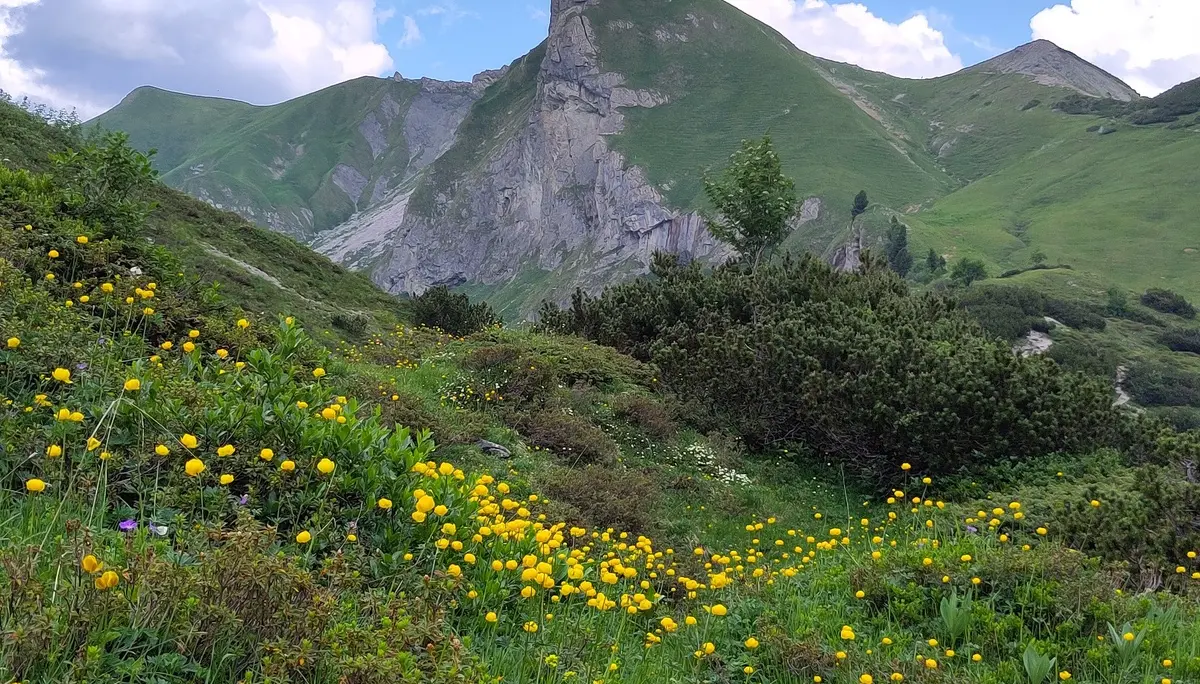 © DAV-Gangkofen / Schochenspitze