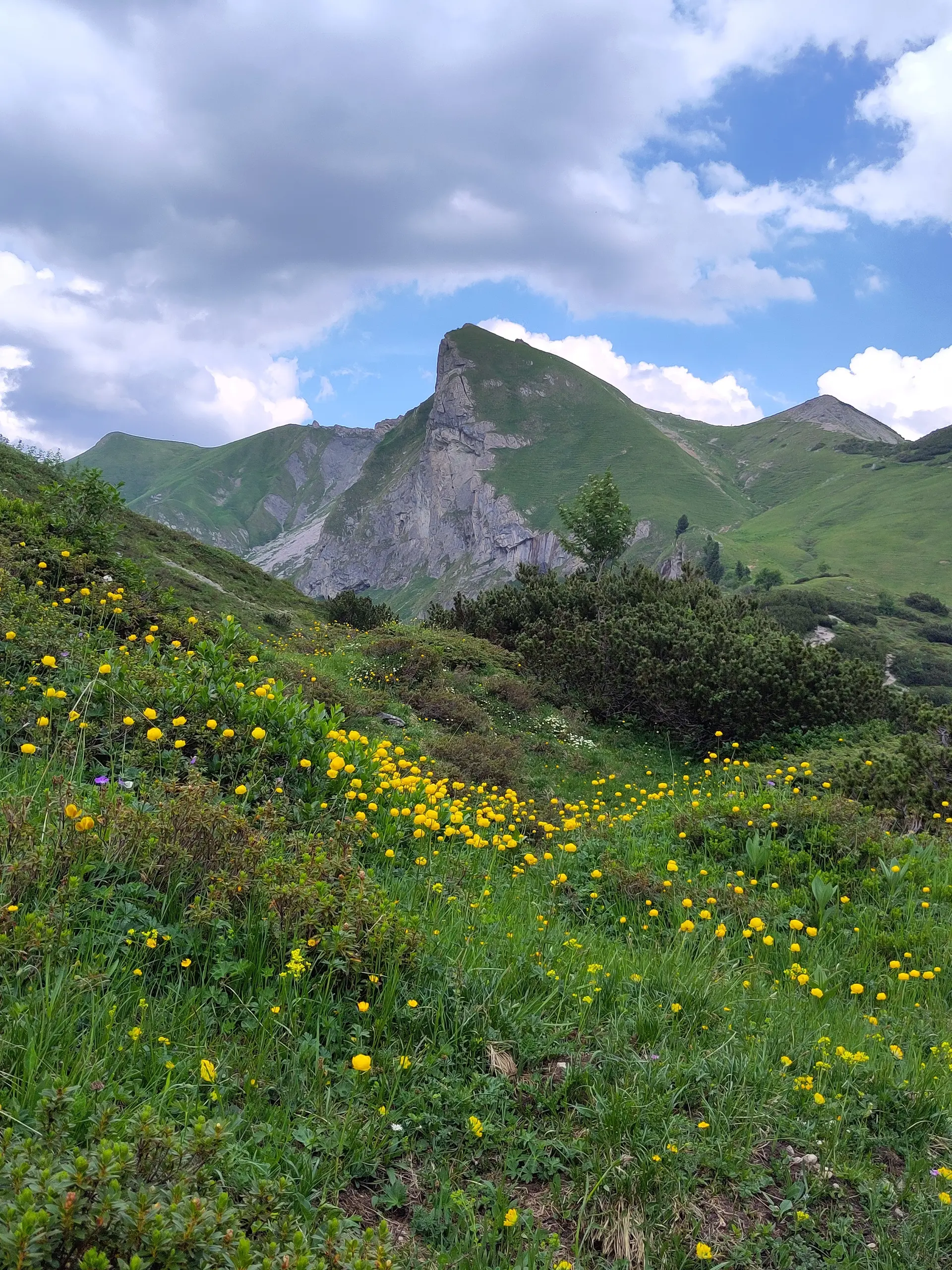 © DAV-Gangkofen / Schochenspitze