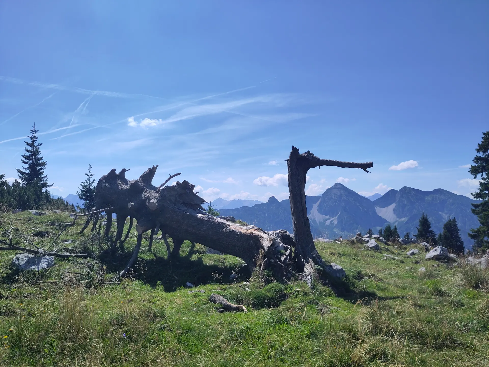 © (DAV-Gangkofen) - 