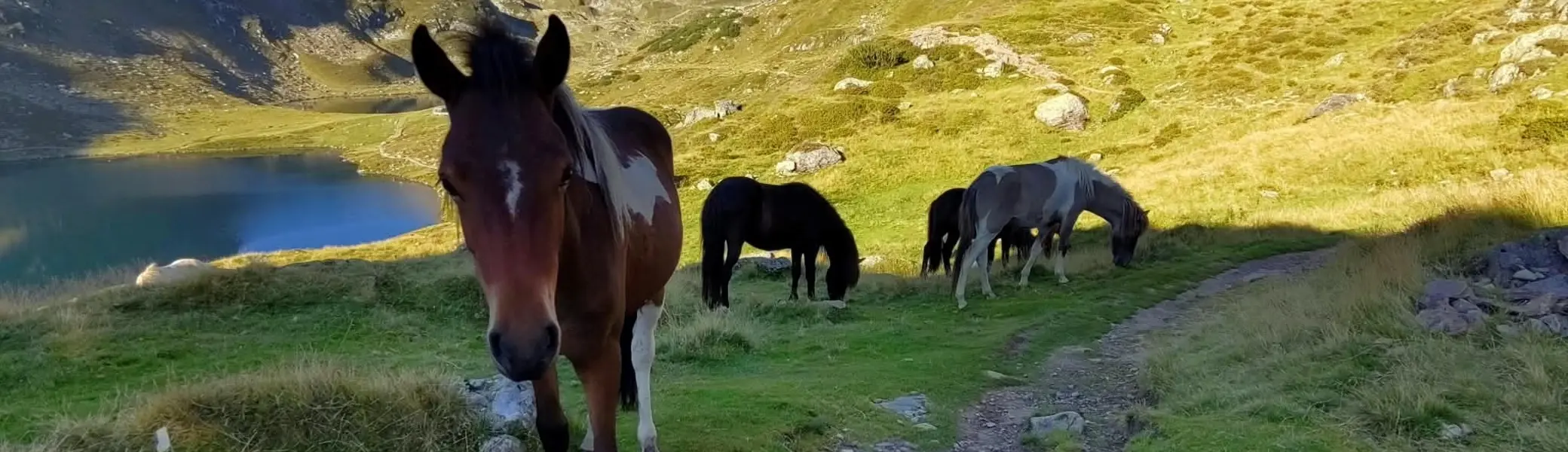 © (DAV Gangkofen) Wanderungen in den Schladminger Tauern