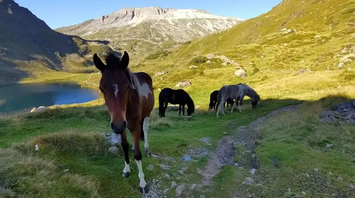© (DAV Gangkofen) Wanderungen in den Schladminger Tauern