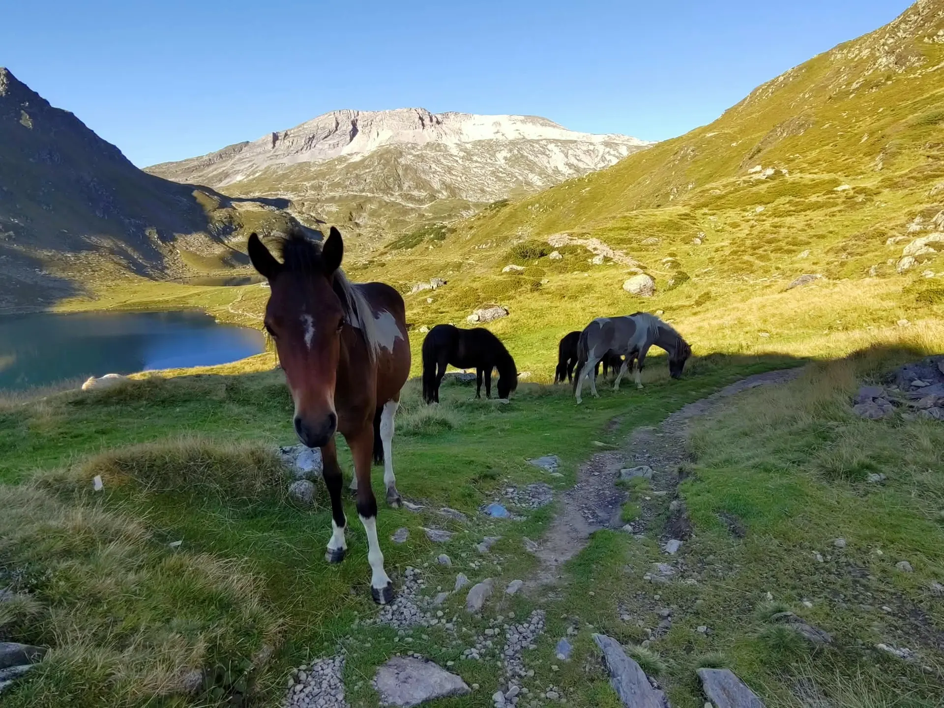 © (DAV Gangkofen) Wanderungen in den Schladminger Tauern