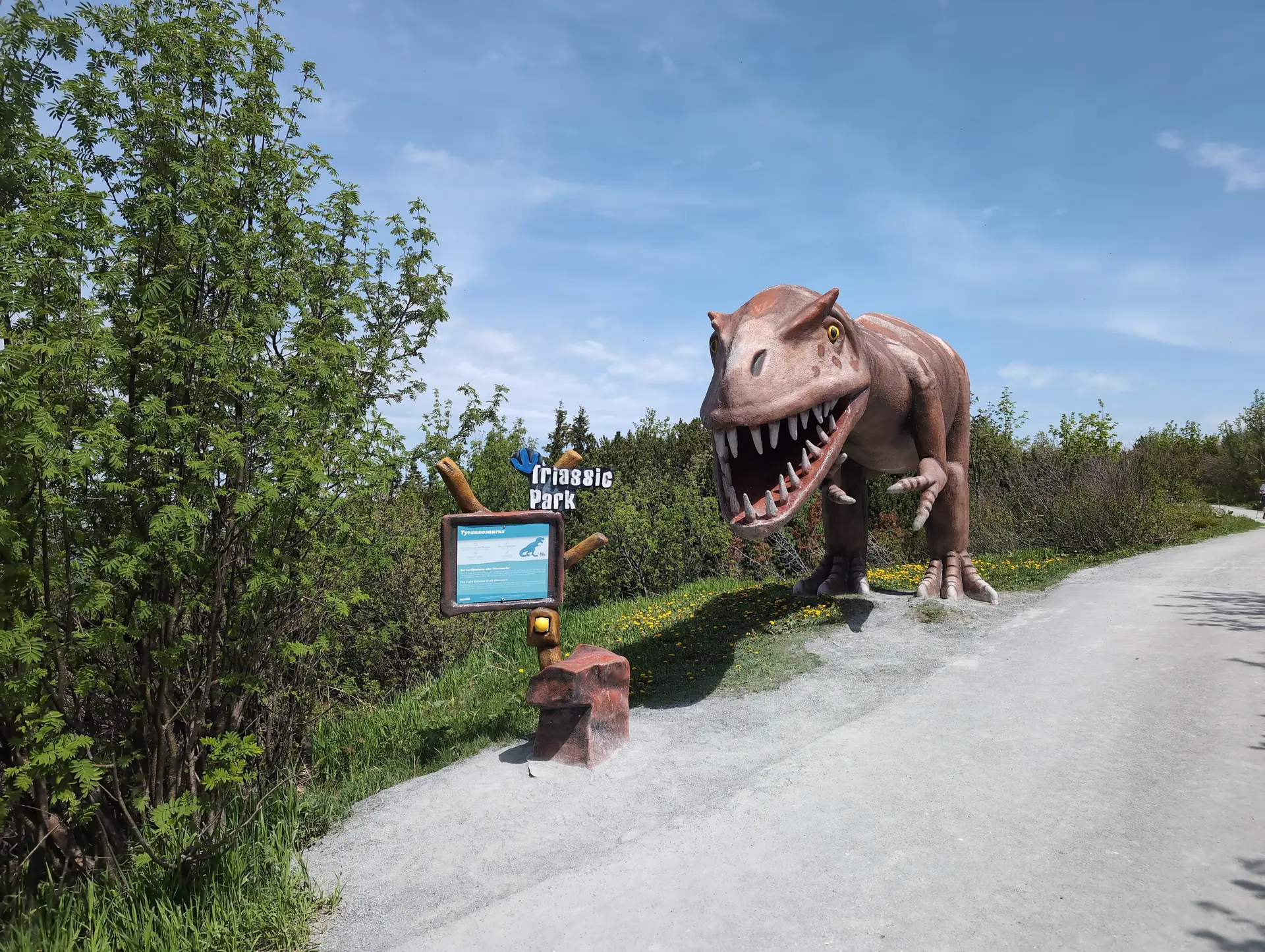 KS S'Schustagangl_ | © DAV Gangkofen/Martin Götz_Abstieg_Im Triassic Park
