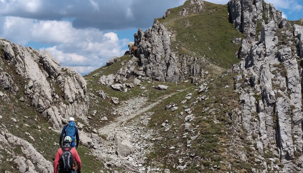 KS Karwendel | © DAV Gangkofen/Martin Götz_KS Karwendel_2.Tag_KS Zirler_Kurz vor dem Gipfel der Erlspitze