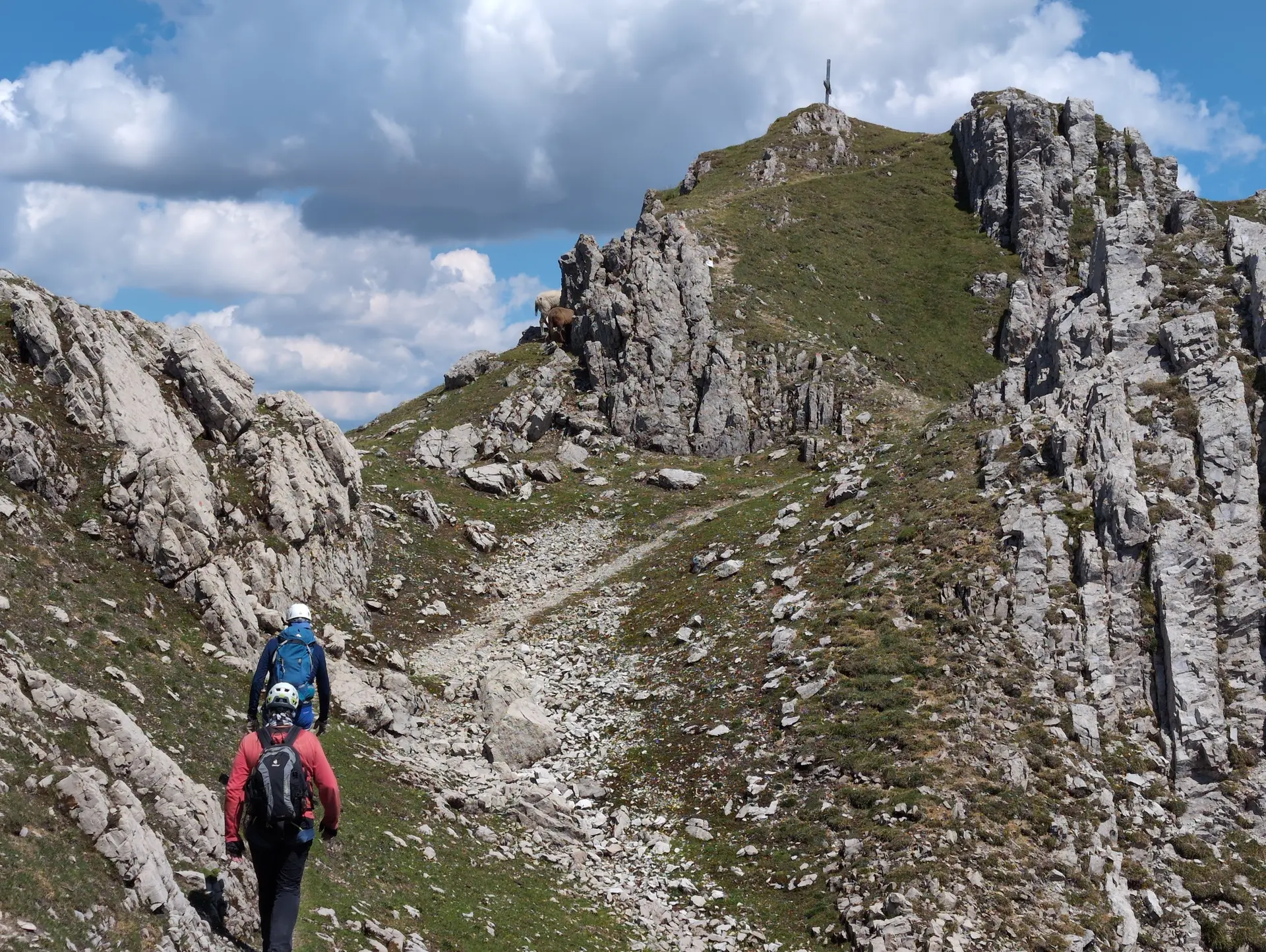 KS Karwendel | © DAV Gangkofen/Martin Götz_KS Karwendel_2.Tag_KS Zirler_Kurz vor dem Gipfel der Erlspitze