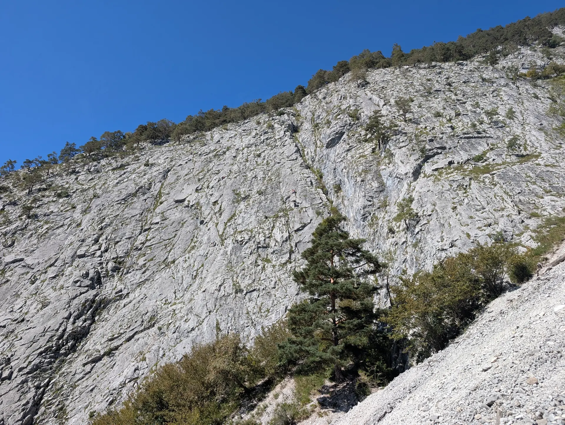KS Leite | © DAV Gangkofen/Martin Götz_KS Mieminger Gebirge_KS Leite_Die Wand im Überblick_Links und oberhalb verläuft der Klettersteig