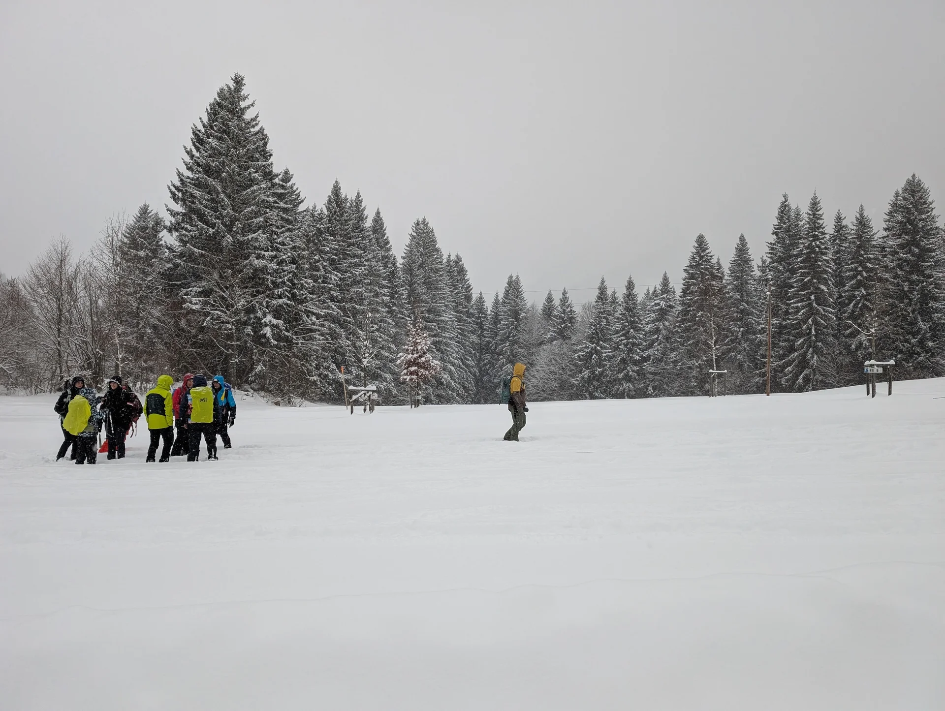 LVS-Kurs für Schneeschuhgeher | © DAV Gangkofen/Martin Götz - LVS-Kurs für Schneeschuhgeher - Suche in der Gruppe