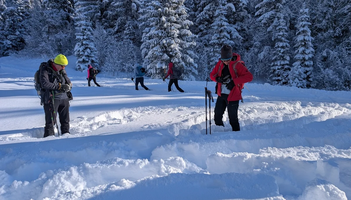 LVS-Kurs - Schneeschuhtour zum Peitingköpfl | © DAV Gangkofen/Martin Götz - LVS-Kurs Schneeschuhtour zum Peitingköpfl - LVS-Check