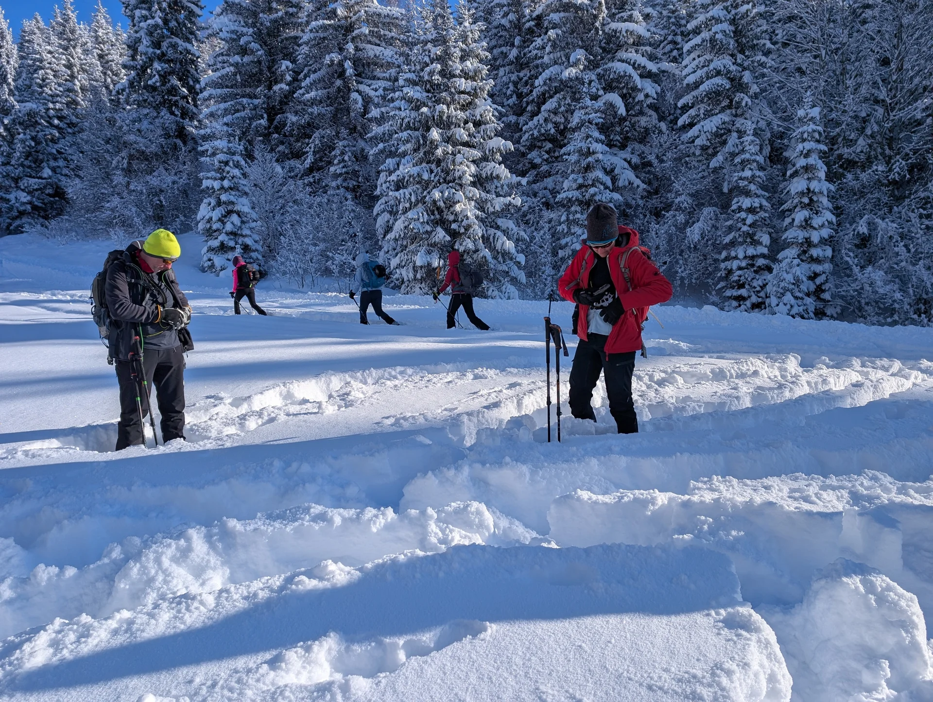 LVS-Kurs - Schneeschuhtour zum Peitingköpfl | © DAV Gangkofen/Martin Götz - LVS-Kurs Schneeschuhtour zum Peitingköpfl - LVS-Check