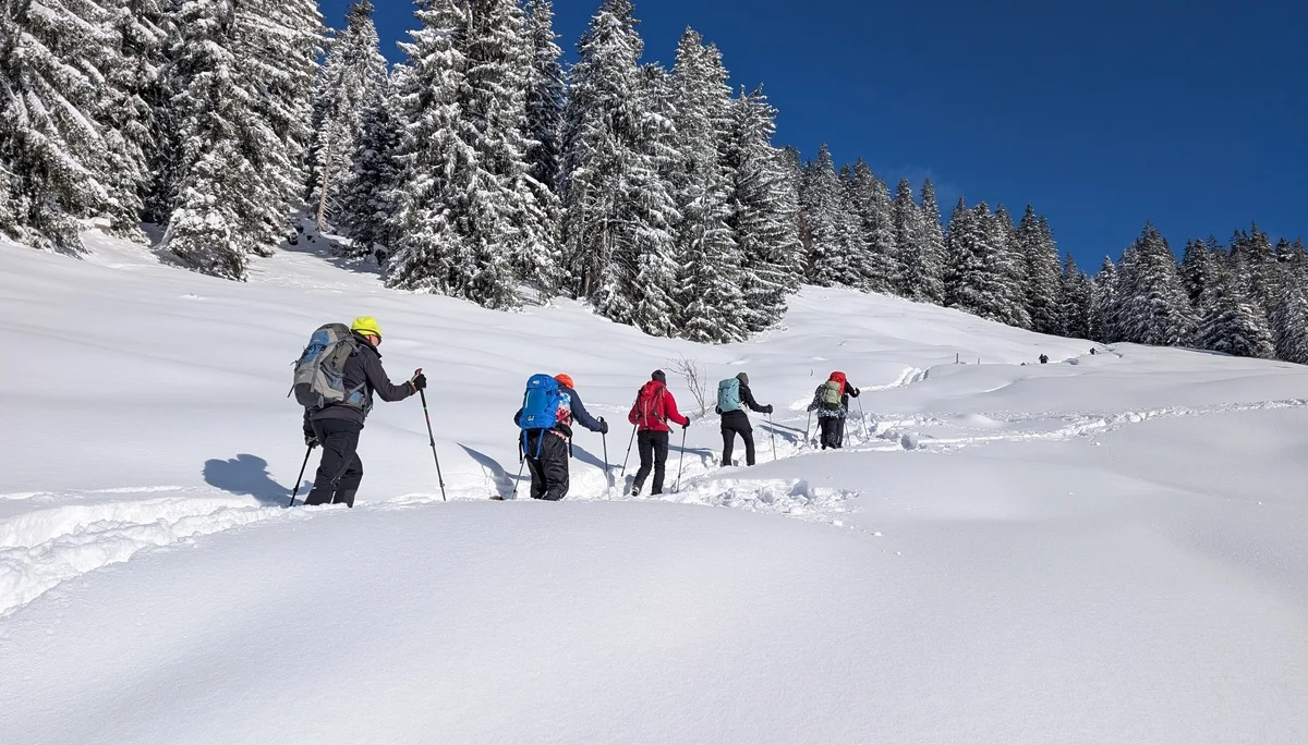 LVS-Kurs - Schneeschuhtour zum Peitingköpfl | © DAV Gangkofen/Martin Götz - Schneeschuhtour zum Peitingköpfl - im Aufstieg zu den Almen