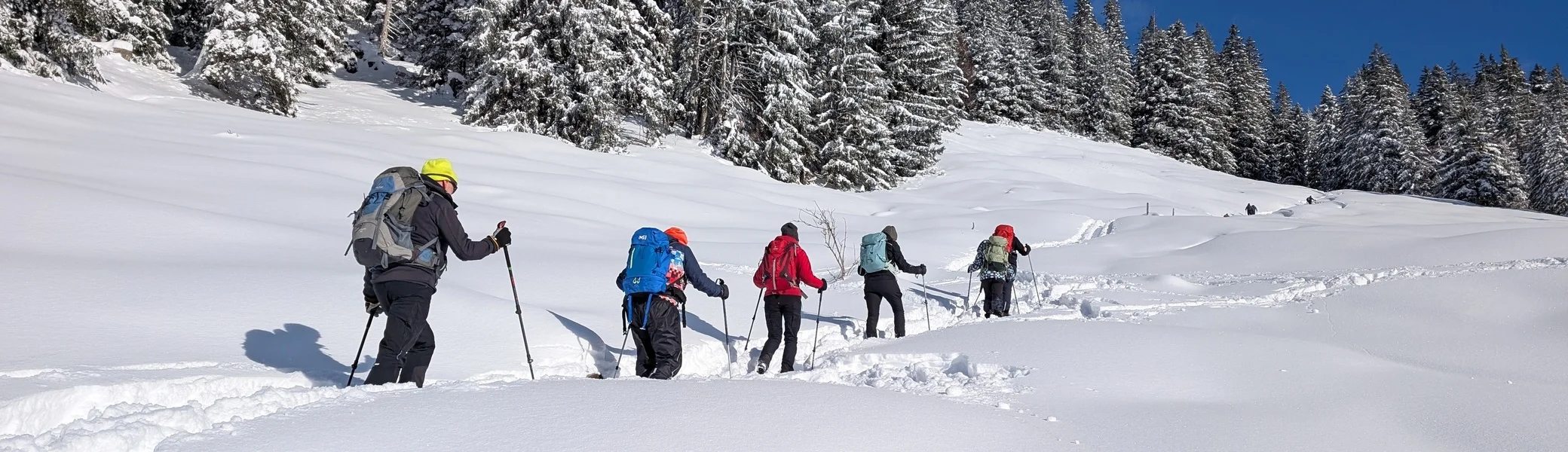 LVS-Kurs - Schneeschuhtour zum Peitingköpfl | © DAV Gangkofen/Martin Götz - Schneeschuhtour zum Peitingköpfl - im Aufstieg zu den Almen