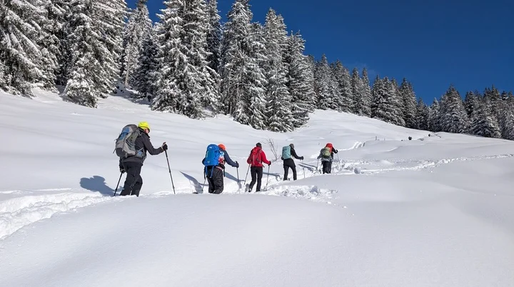 LVS-Kurs - Schneeschuhtour zum Peitingköpfl | © DAV Gangkofen/Martin Götz - Schneeschuhtour zum Peitingköpfl - im Aufstieg zu den Almen