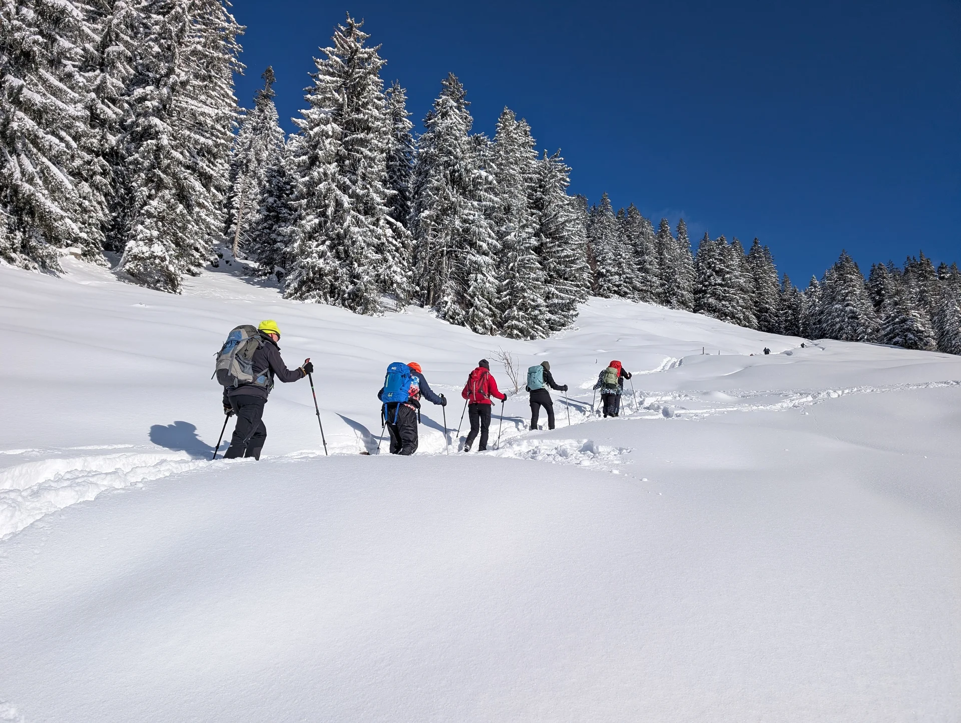LVS-Kurs - Schneeschuhtour zum Peitingköpfl | © DAV Gangkofen/Martin Götz - Schneeschuhtour zum Peitingköpfl - im Aufstieg zu den Almen