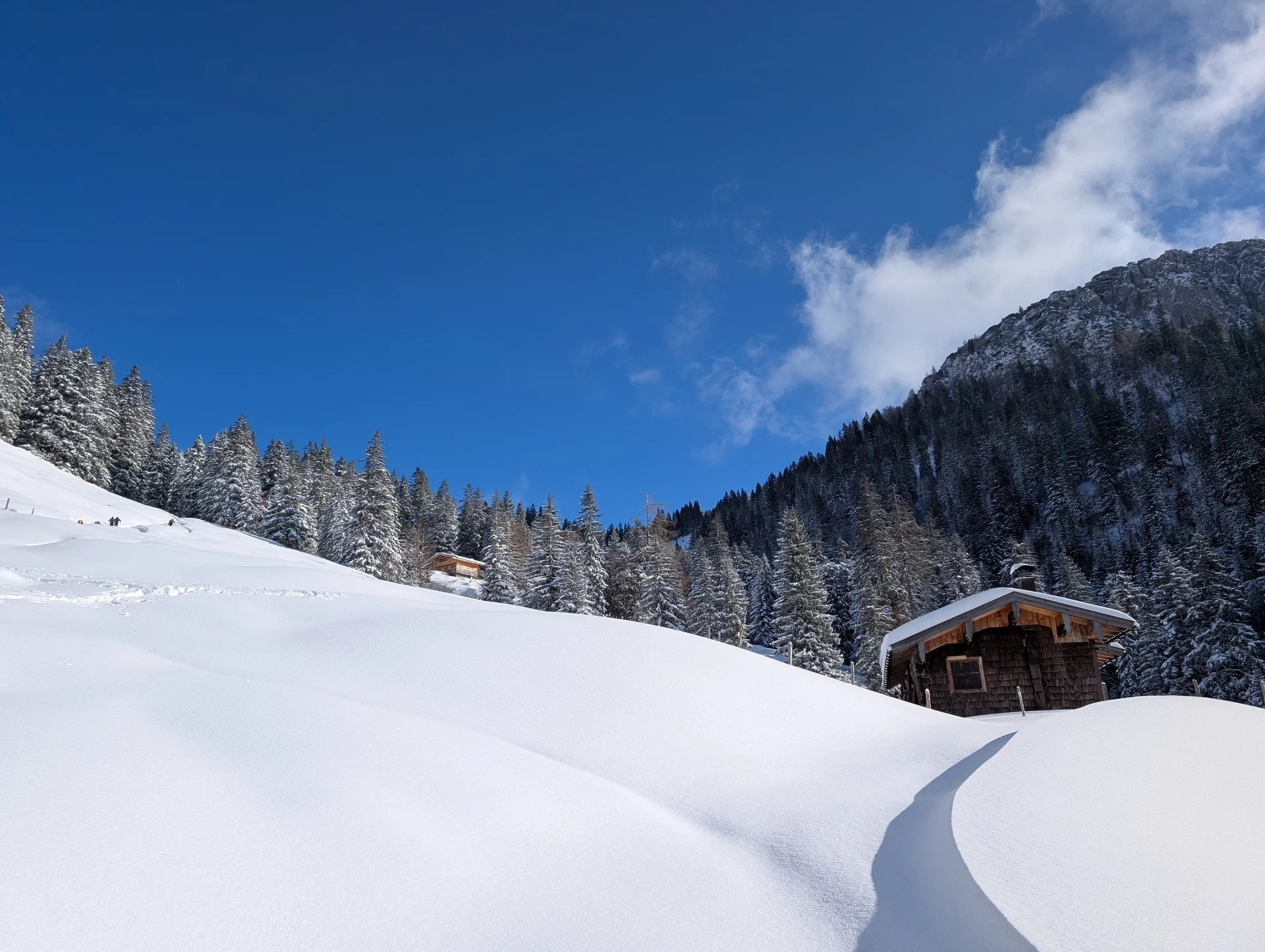 LVS-Kurs - Schneeschuhtour zum Peitingköpfl | © DAV Gangkofen/Martin Götz - Schneeschuhtour zum Peitingköpfl - Blick auf eine der Almen