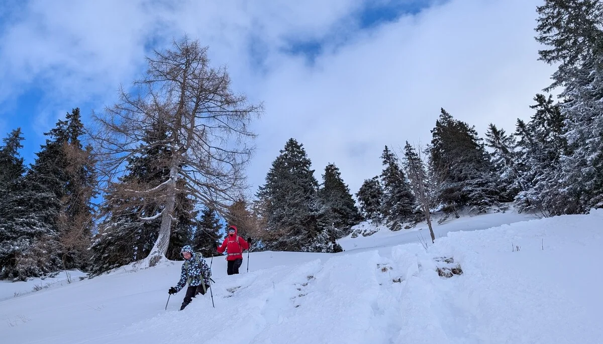 LVS-Kurs - Schneeschuhtour zum Peitingköpfl | © DAV Gangkofen/Martin Götz - LVS-Kurs - Schneeschuhtour zum Peitingköpfl -  Steilabstieg