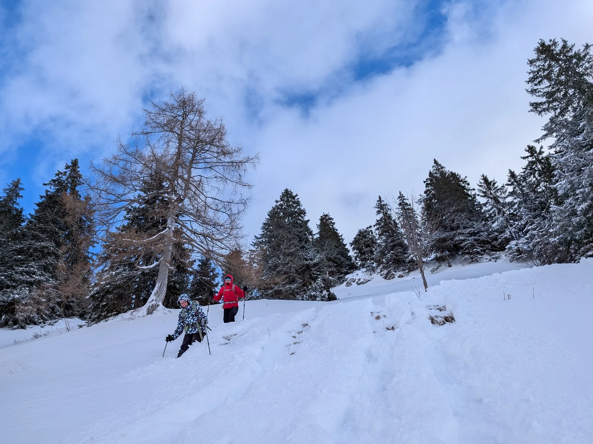 LVS-Kurs - Schneeschuhtour zum Peitingköpfl | © DAV Gangkofen/Martin Götz - LVS-Kurs - Schneeschuhtour zum Peitingköpfl -  Steilabstieg