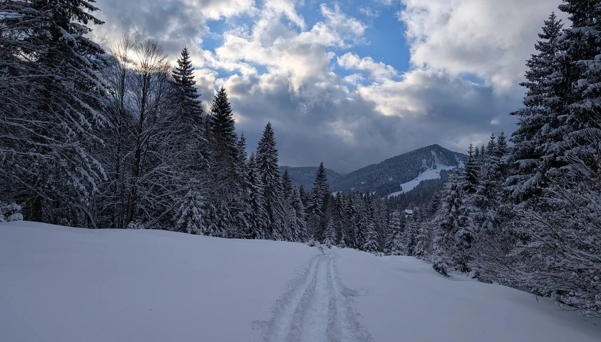 LVS-Kurs - Schneeschuhtour zum Peitingköpfl | © DAV Gangkofen/Martin Götz - LVS-Kurs - Schneeschuhtour zum Peitingköpfl - Im Abstieg - Blick auf den Skilift im Heutal