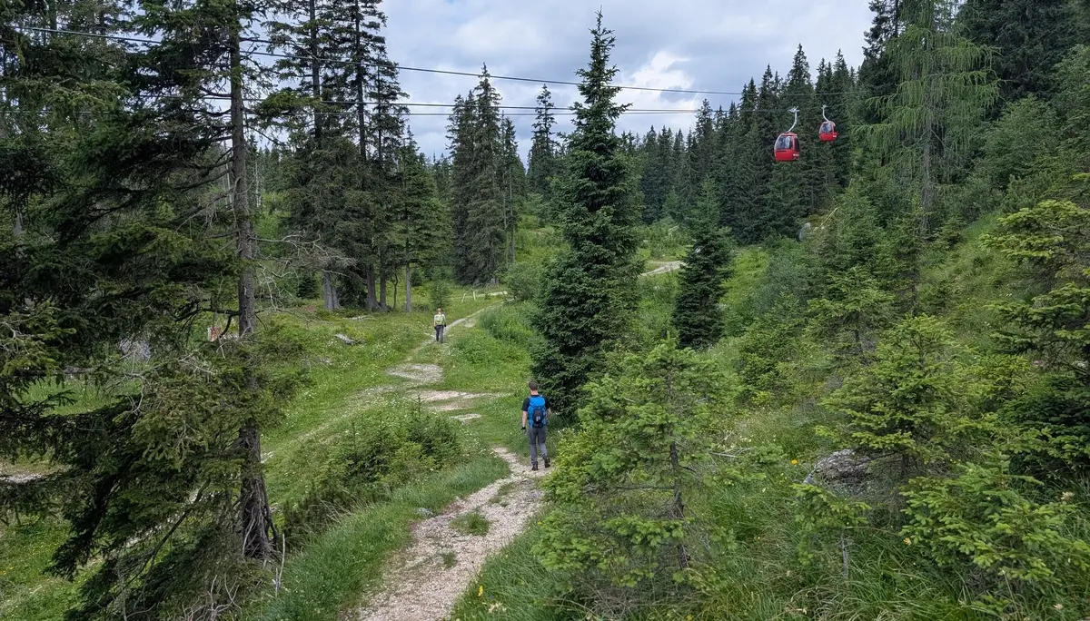 KS Einführungskurs II_2_Abstieg_Normalweg_Abschnitt unter der Seilbahn_ | © DAV Gangkofen/Martin Götz_KS Einführungskurs II_2_Abstieg_Normalweg_Abschnitt unter der Seilbahn