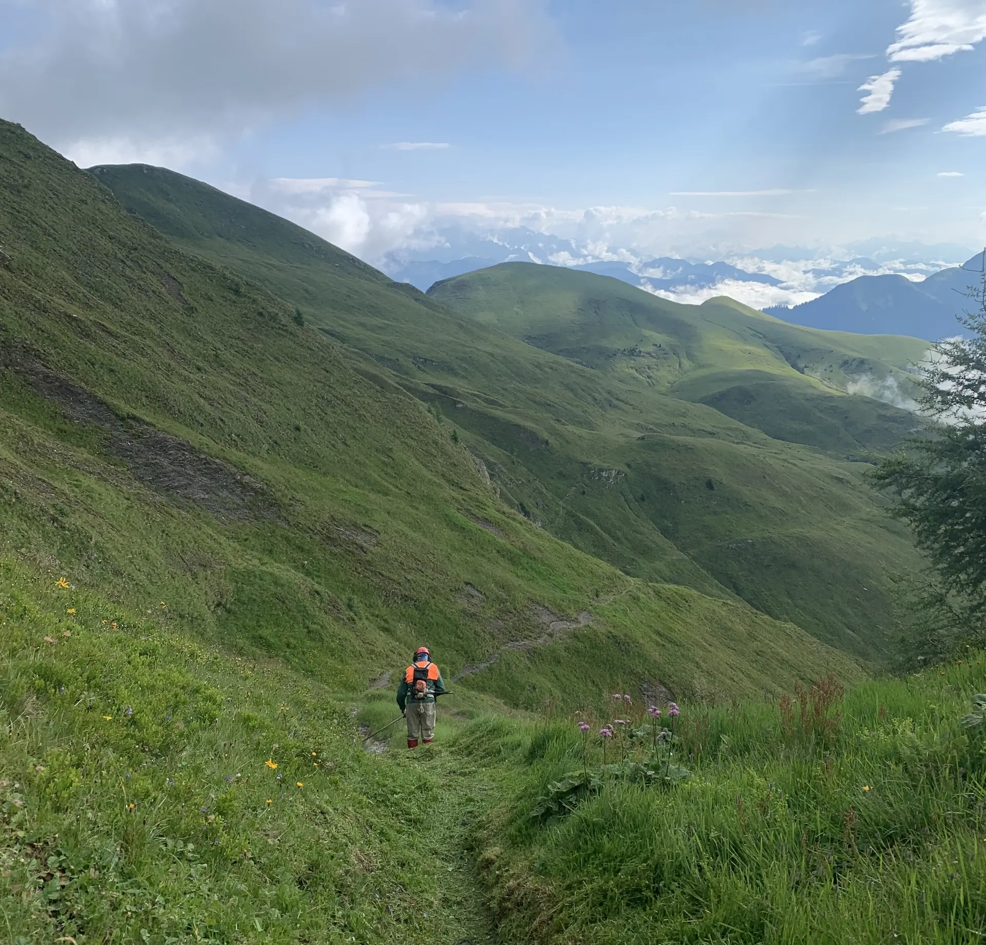 © (DAV Gangkofen) Umweltbaustelle Gleiwitzer Hütte, viel Mäharbeit