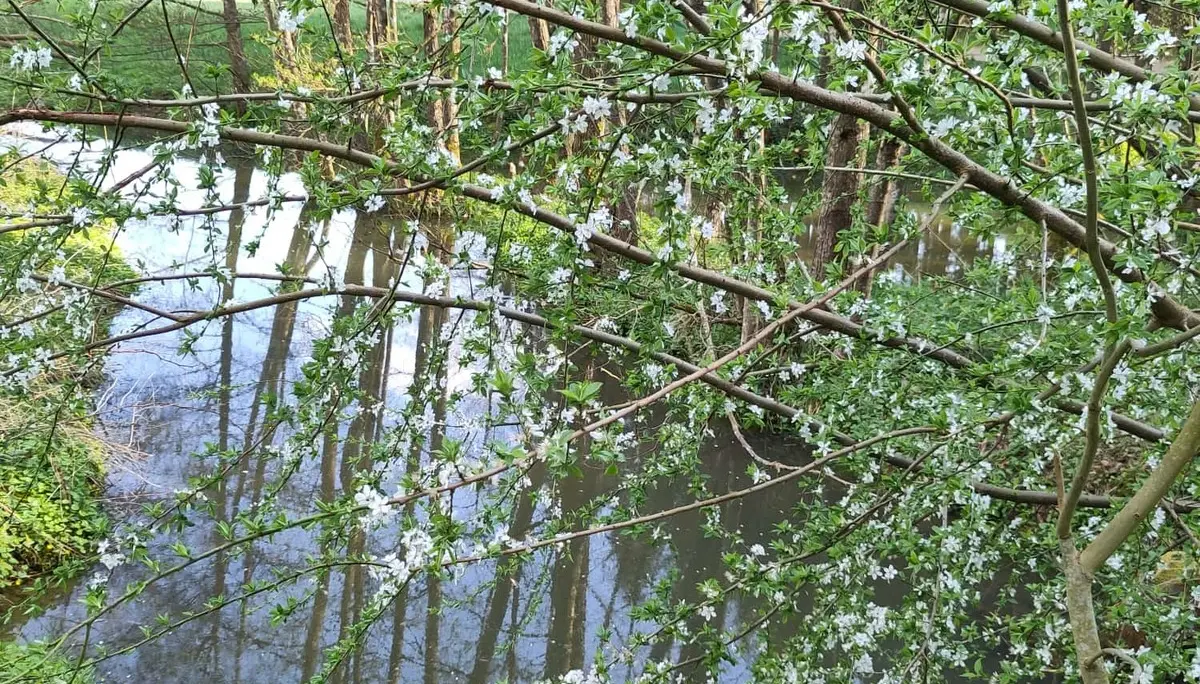 © DAV Gangkofen Sektionsabend