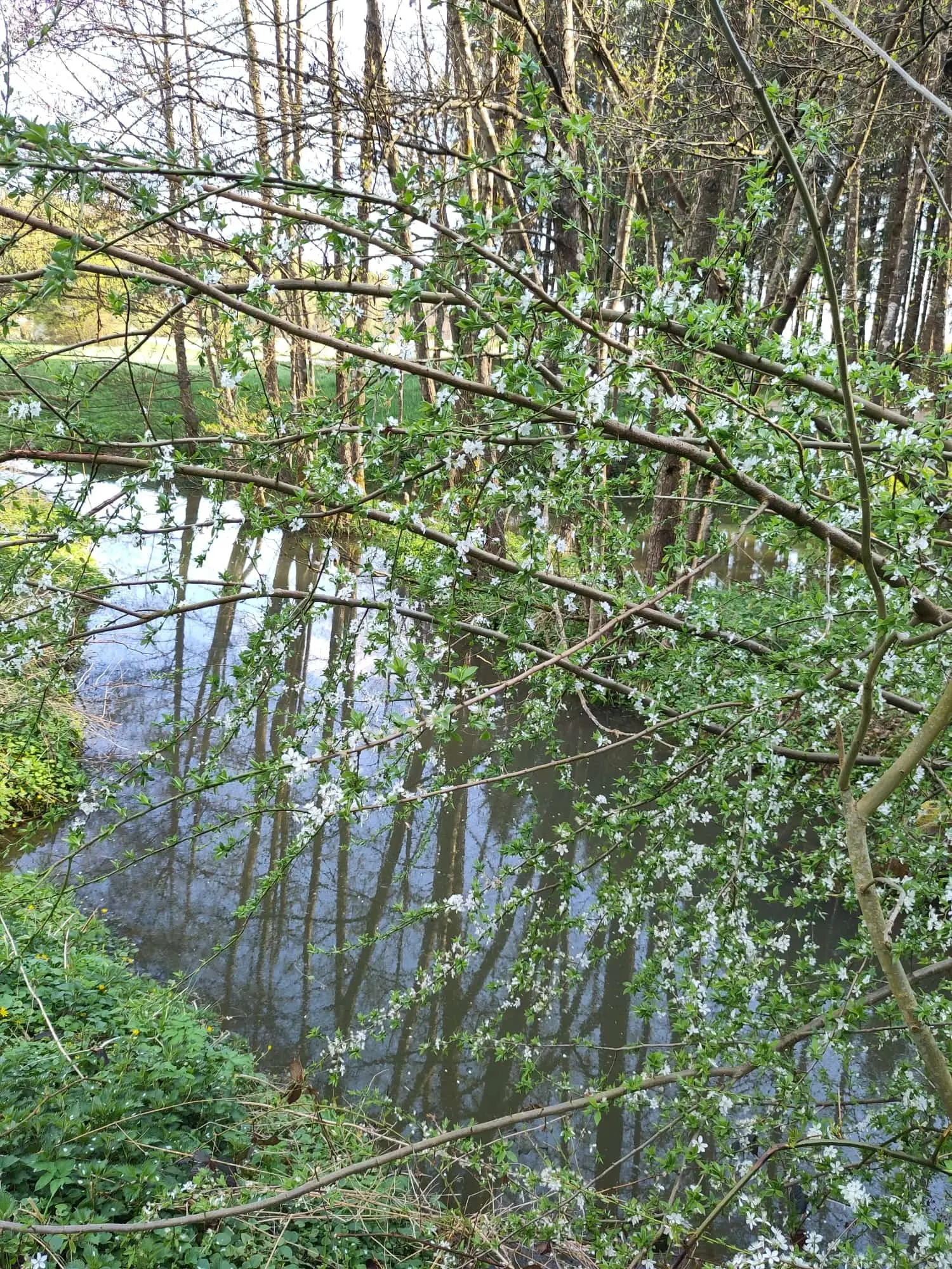 © DAV Gangkofen Sektionsabend