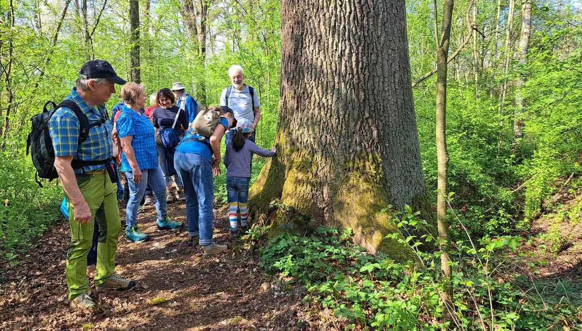 © DAV Gangkofen Sektionsabend