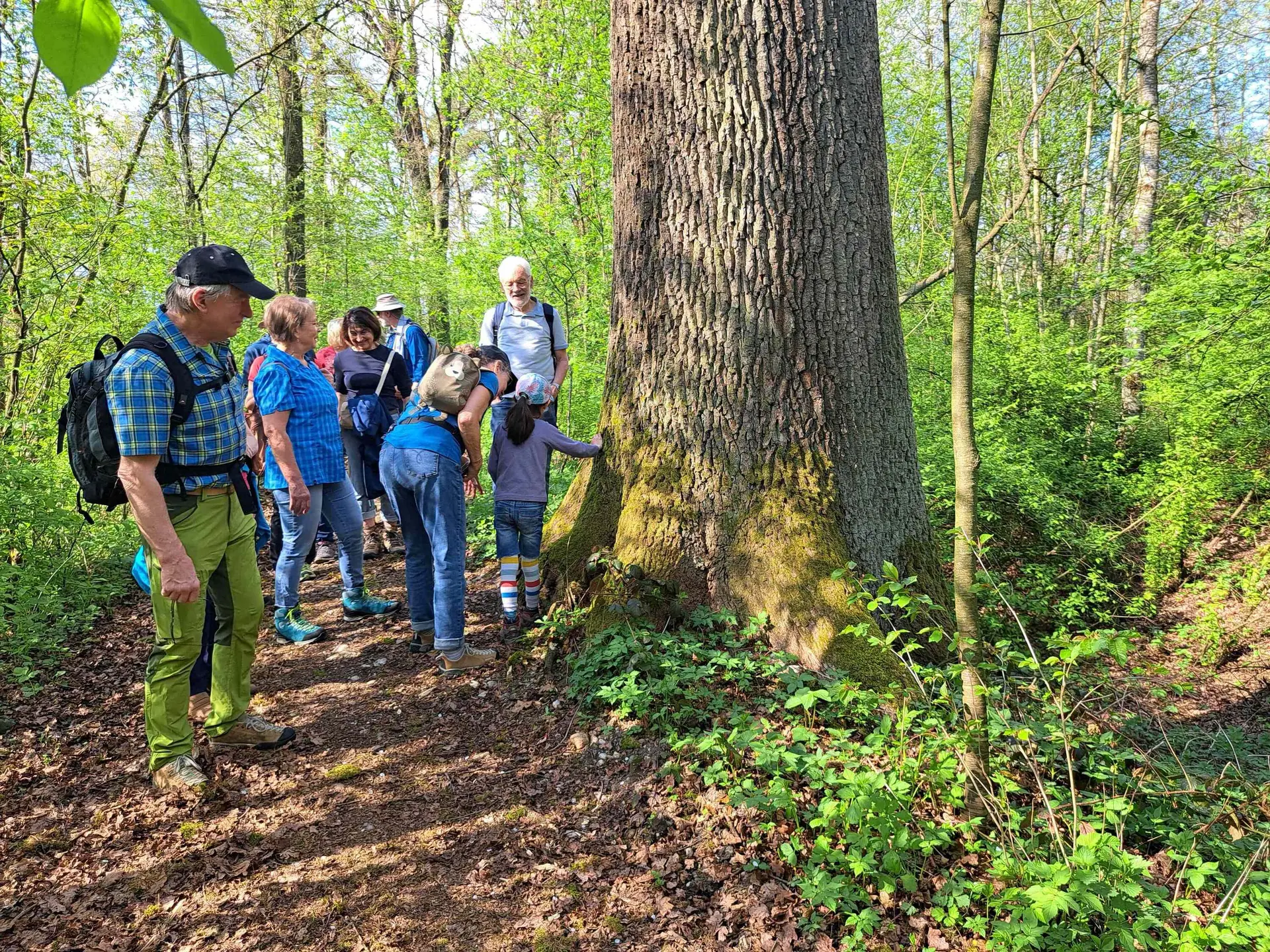 © DAV Gangkofen Sektionsabend