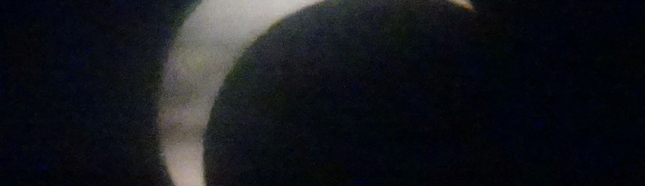 © DAV Gangkofen Sonnenfinsternis am Kletterturm