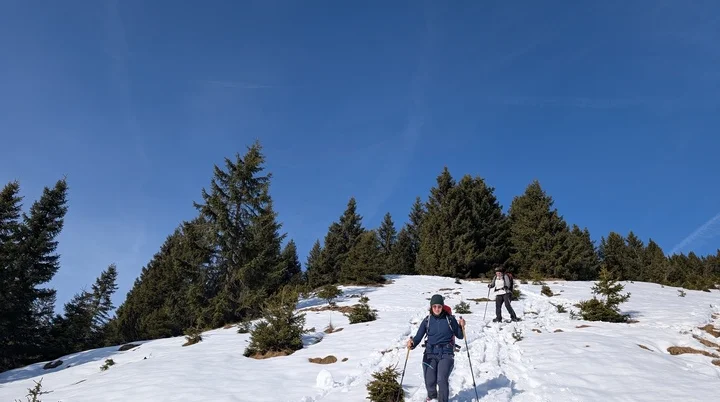 SSW Wildalpjoch | © DAV Gangkofen/Martin Götz - SSW Wildalpjoch - Abstieg über den Bergrücken