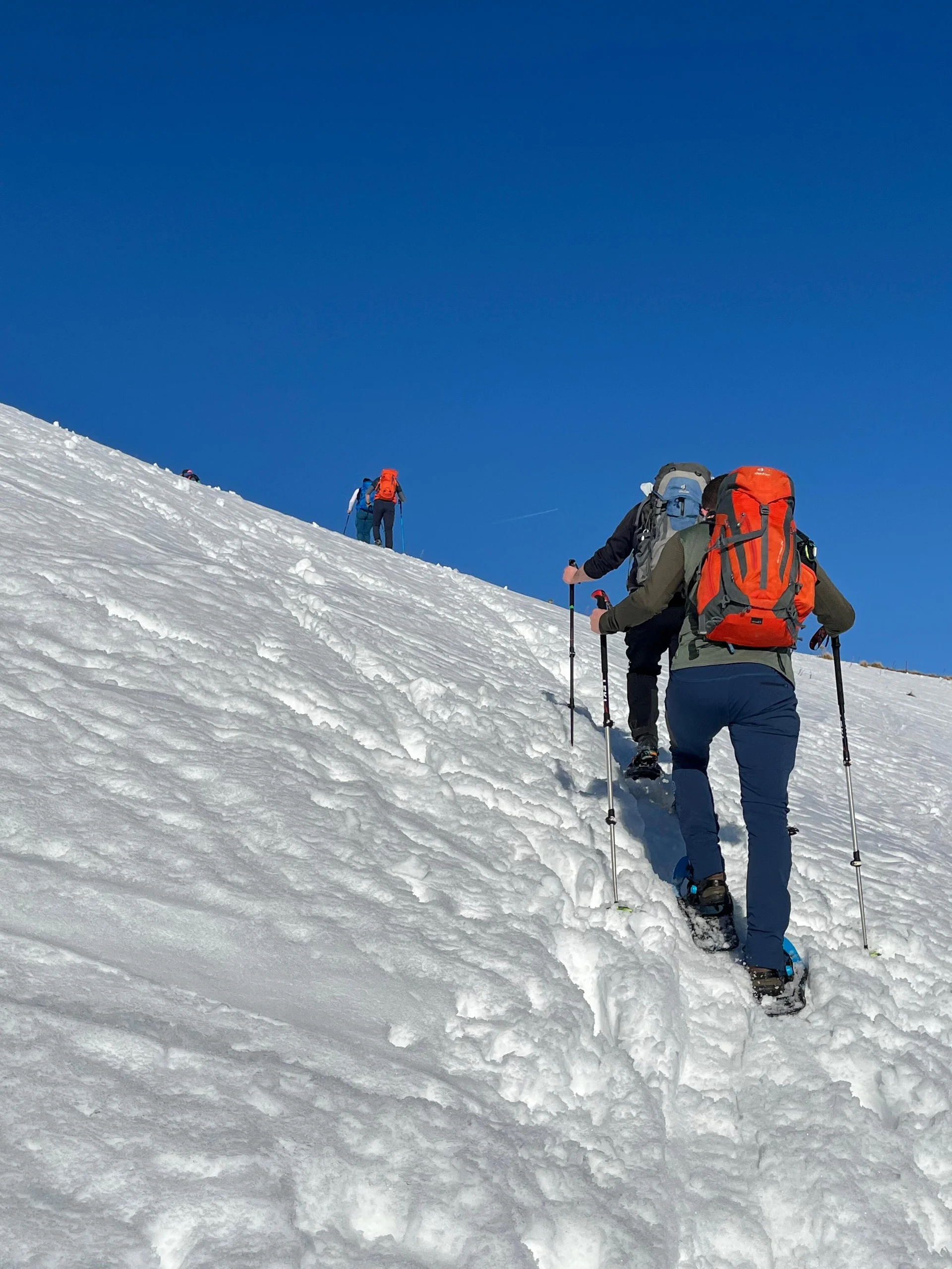 SSW Wildalpjoch II | © DAV Gangkofen/Thomas Loher - SSW Wildalpjoch II - kurz unterhalb des Gipfels