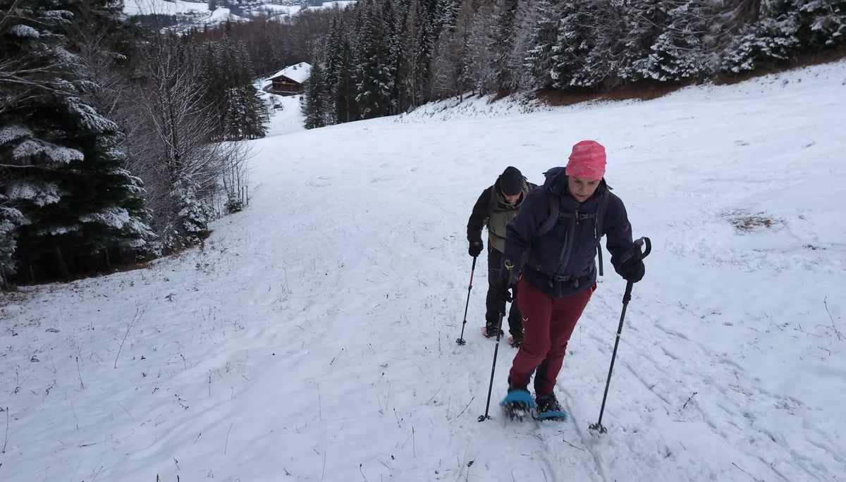 SSW Unternberg (Abendtour) | © DAV Gangkofen/Martin Götz - SSW Unternberg (Abendtour) - Direkter Aufstieg auf der aufgelassenen Skipiste