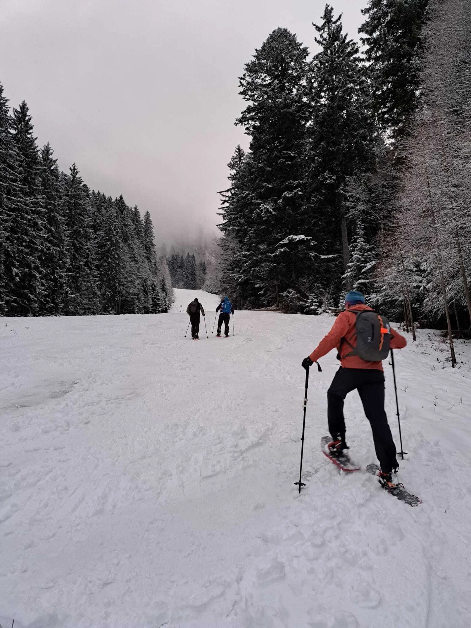 SSW Unternberg (Abendtour) | © DAV Gangkofen/Christina Wimmer - SSW Unternberg (Abendtour) - Im flacheren Mittelteil