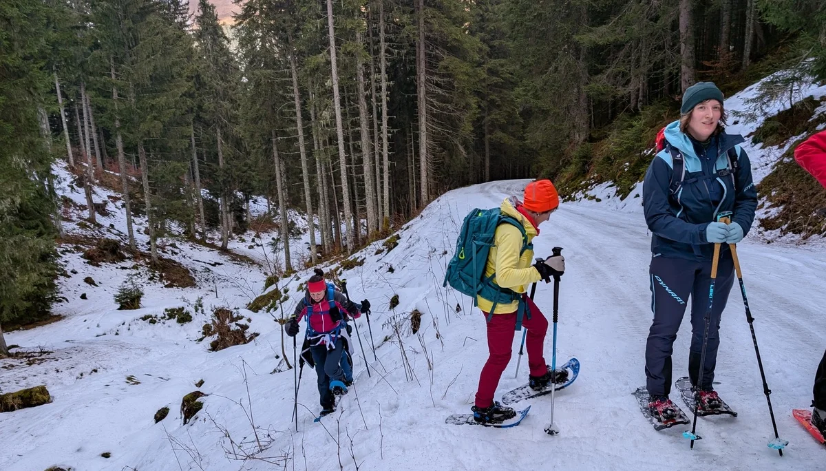 SSW Kühkranz | © DAV Gangkofen/Martin Götz - Zurück auf dem Forstweg