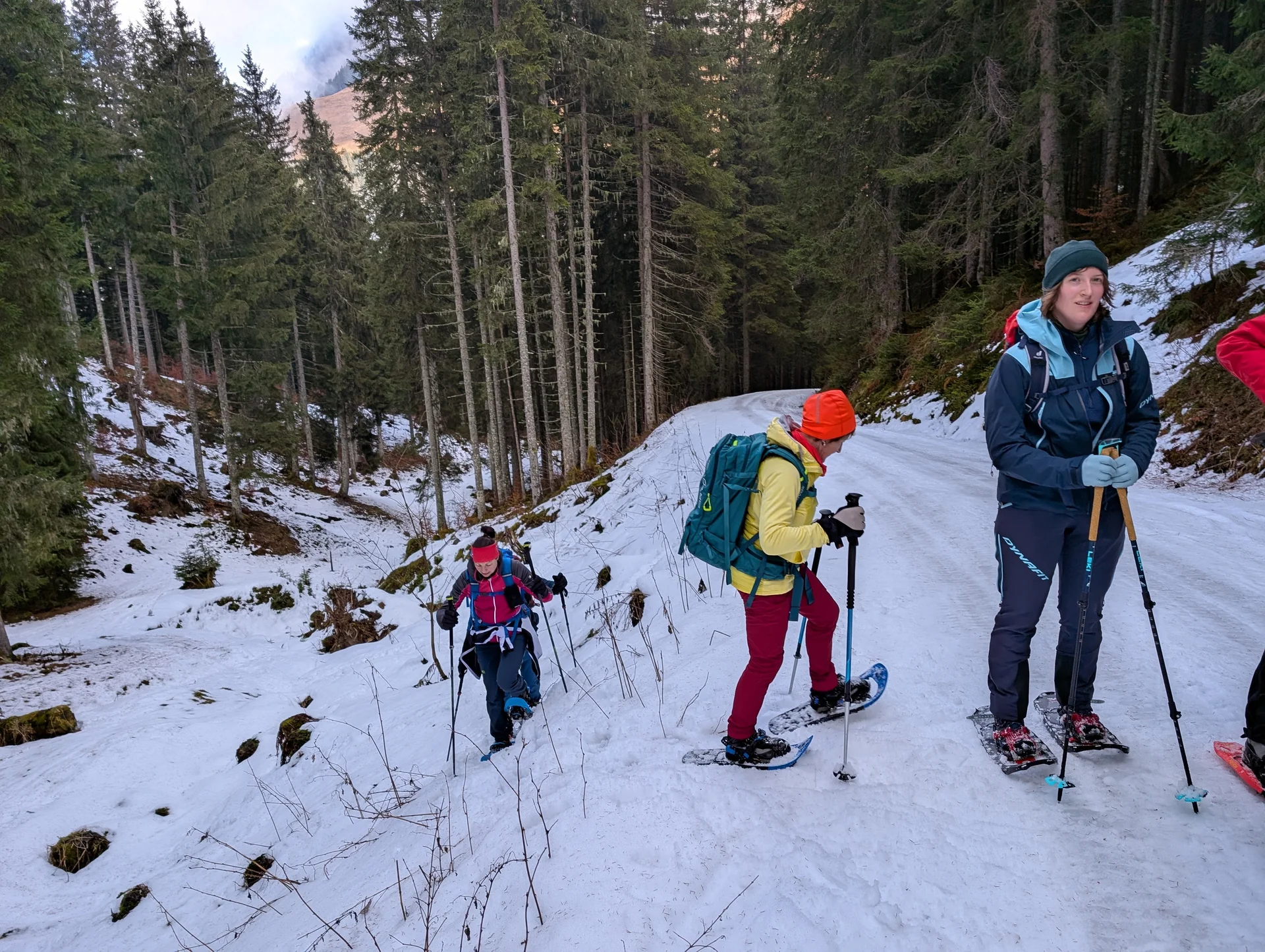 SSW Kühkranz | © DAV Gangkofen/Martin Götz - Zurück auf dem Forstweg