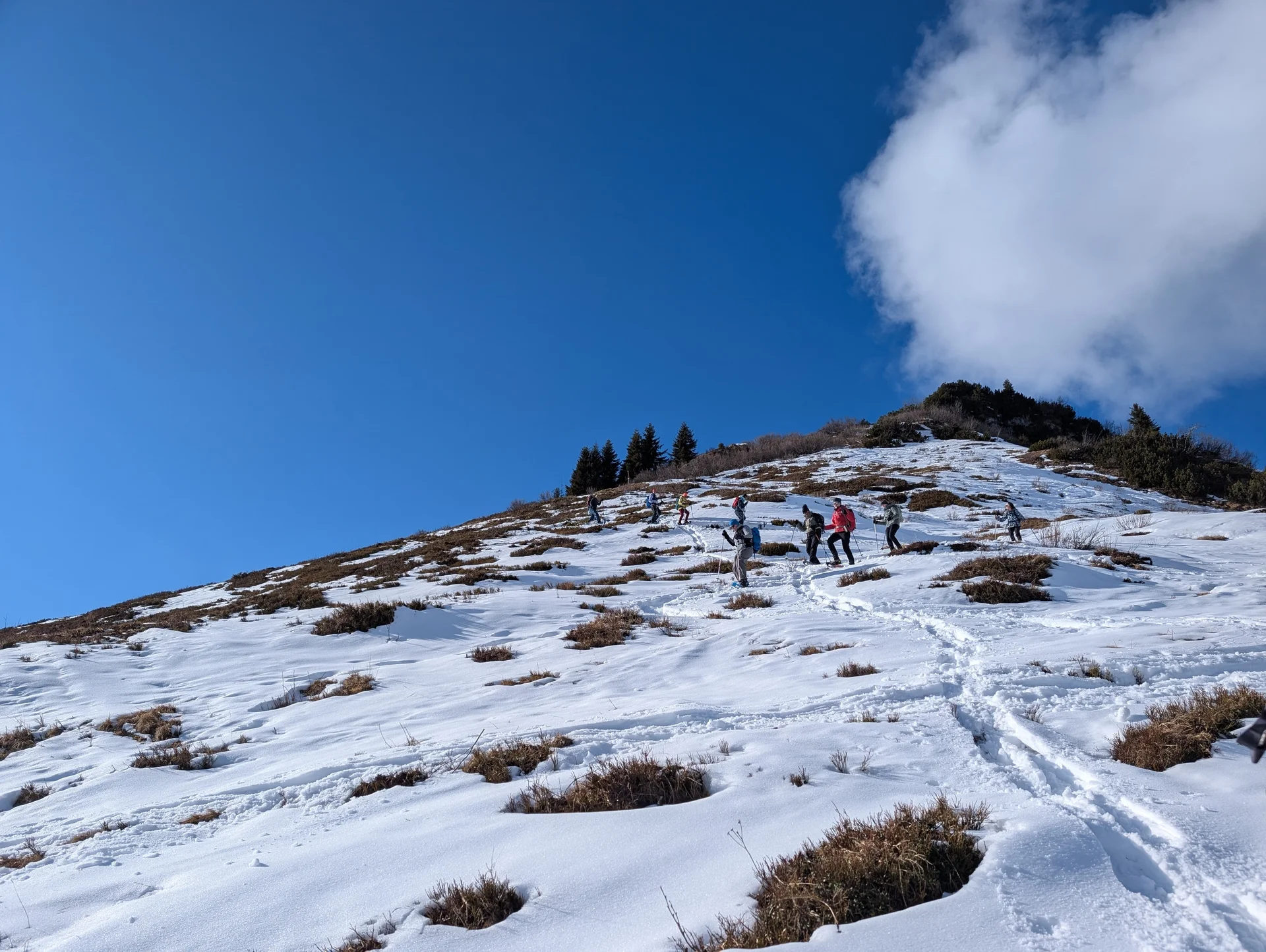 SSW Kühkranz | © DAV Gangkofen/Martin Götz - Abstieg über die apere Südseite