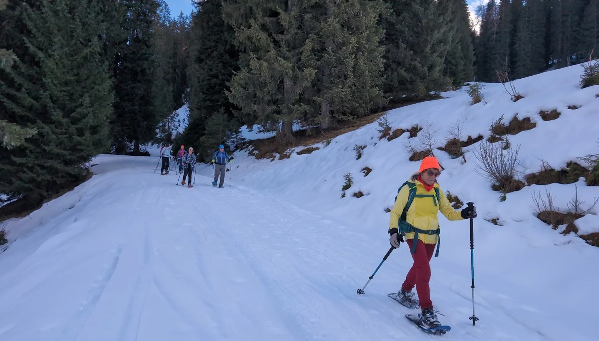SSW Kühkranz | © DAV Gangkofen/Martin Götz - Abstieg über vereisten Forstweg