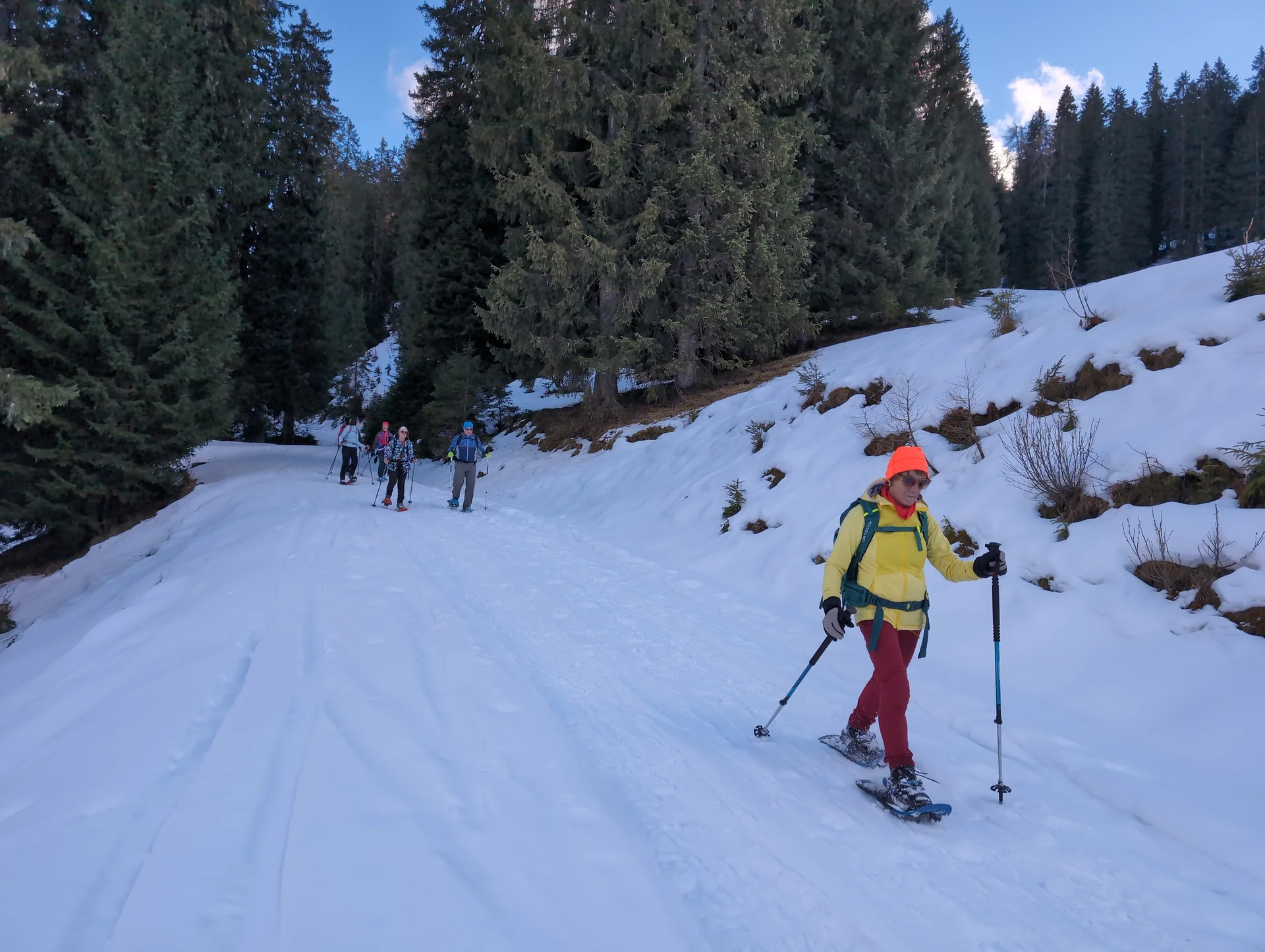 SSW Kühkranz | © DAV Gangkofen/Martin Götz - Abstieg über vereisten Forstweg